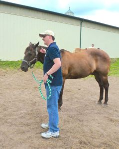 Connecting with your horse, 2014, Horseplay